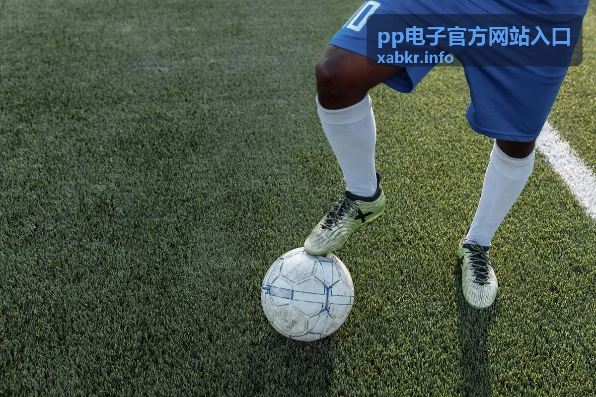 pp电子官方网站入口新手礼遇奖励卡片